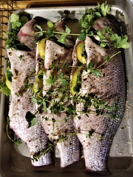 grilled fish