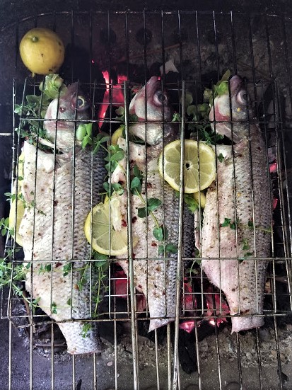 grilled fish3