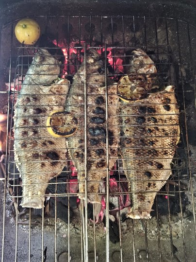 grilled fish4